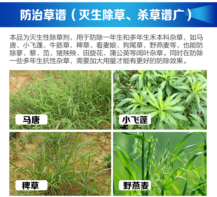 丰创惠选火日200克升草铵膦水剂5kg