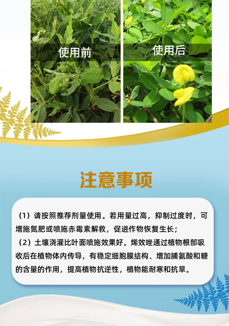 控梢控旺剑丰园10烯效唑悬浮剂500g